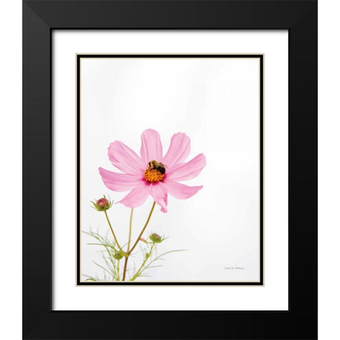 Pale Cosmos II Black Modern Wood Framed Art Print with Double Matting by Van Swearingen, Debra
