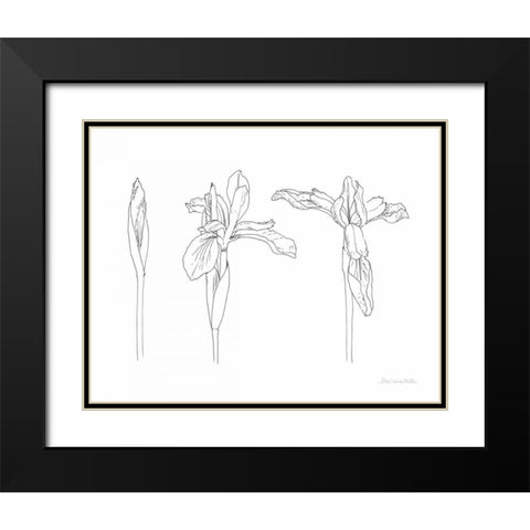 Sketched Iris Black Modern Wood Framed Art Print with Double Matting by Miller, Sara Zieve