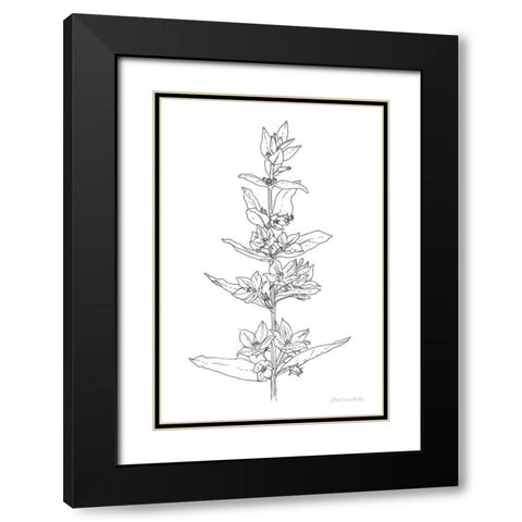 Sketched Flowers Black Modern Wood Framed Art Print with Double Matting by Miller, Sara Zieve