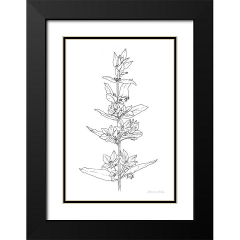 Sketched Flowers Black Modern Wood Framed Art Print with Double Matting by Miller, Sara Zieve