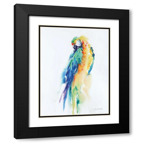 Colorful Parrots II Black Modern Wood Framed Art Print with Double Matting by Valle, Aimee Del
