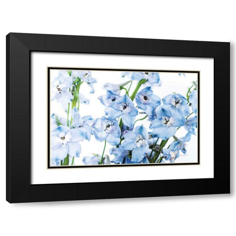 Freshly Picked Delphinium I Black Modern Wood Framed Art Print with Double Matting by Urquhart, Elizabeth