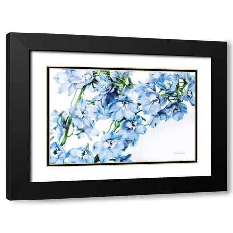 Freshly Picked Delphinium II Black Modern Wood Framed Art Print with Double Matting by Urquhart, Elizabeth