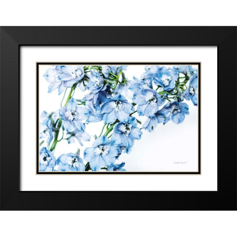 Freshly Picked Delphinium II Black Modern Wood Framed Art Print with Double Matting by Urquhart, Elizabeth