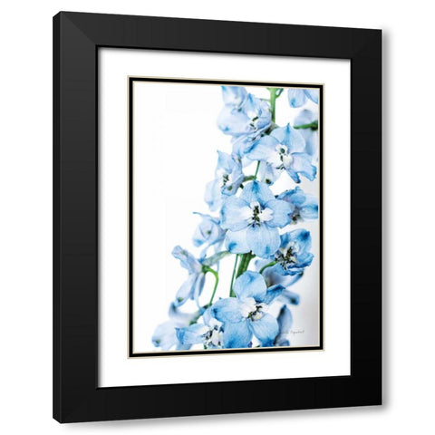 Freshly Picked Delphinium III Black Modern Wood Framed Art Print with Double Matting by Urquhart, Elizabeth