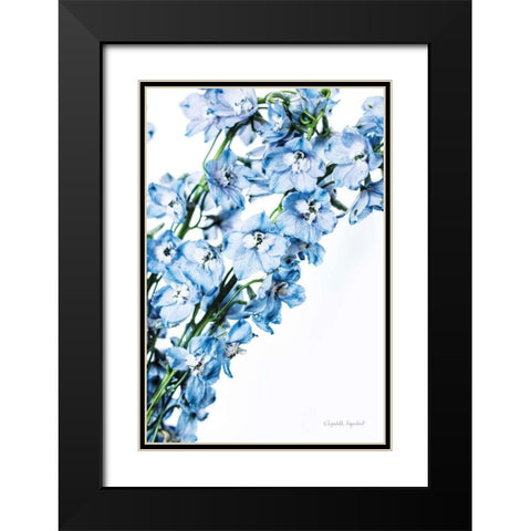 Freshly Picked Delphinium IV Black Modern Wood Framed Art Print with Double Matting by Urquhart, Elizabeth