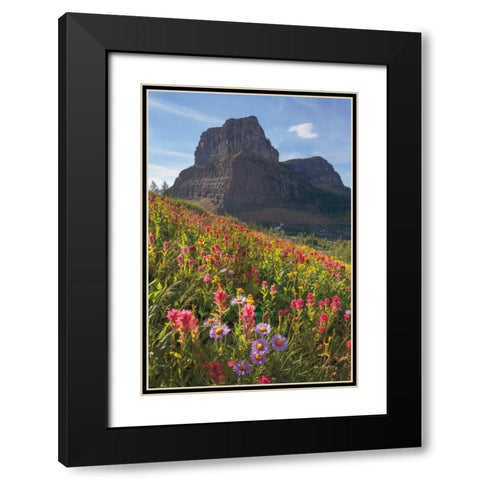 Boulder Pass Wildflowers Black Modern Wood Framed Art Print with Double Matting by Majchrowicz, Alan