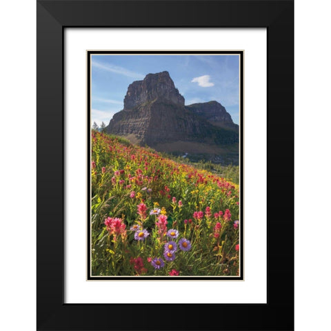 Boulder Pass Wildflowers Black Modern Wood Framed Art Print with Double Matting by Majchrowicz, Alan