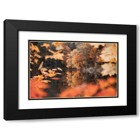 Autumn Reflections Black Modern Wood Framed Art Print with Double Matting by Marshall, Laura
