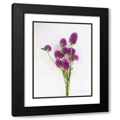 Dried Bouquet II Black Modern Wood Framed Art Print with Double Matting by Catterall, Elise