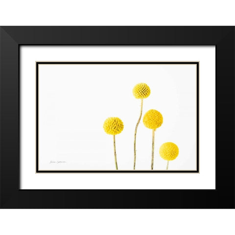 Craspedia I Black Modern Wood Framed Art Print with Double Matting by Catterall, Elise