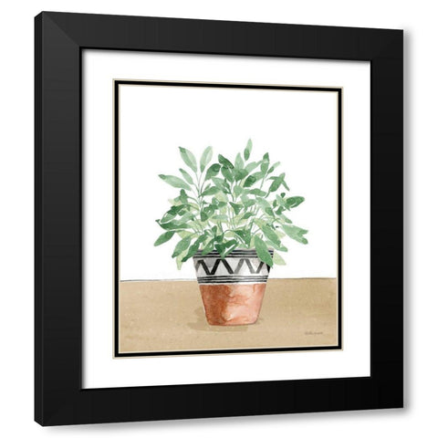 Herb Garden V White Black Modern Wood Framed Art Print with Double Matting by Grove, Beth