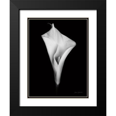 Elegant Calla I Black Modern Wood Framed Art Print with Double Matting by Catterall, Elise