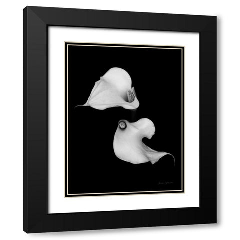 Elegant Calla II Black Modern Wood Framed Art Print with Double Matting by Catterall, Elise