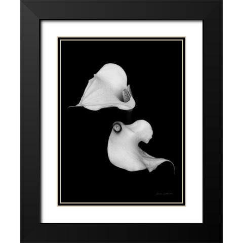Elegant Calla II Black Modern Wood Framed Art Print with Double Matting by Catterall, Elise