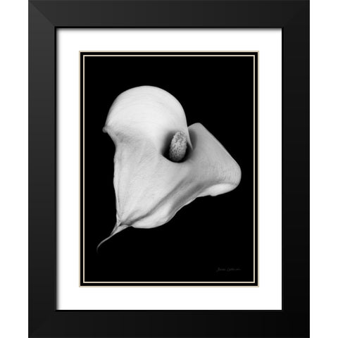 Elegant Calla III Black Modern Wood Framed Art Print with Double Matting by Catterall, Elise