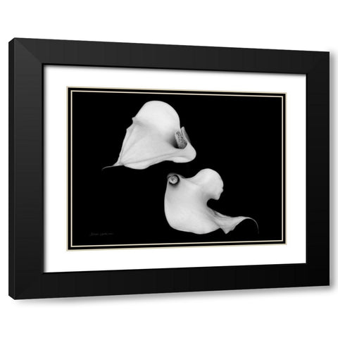Elegant Calla IV Black Modern Wood Framed Art Print with Double Matting by Catterall, Elise