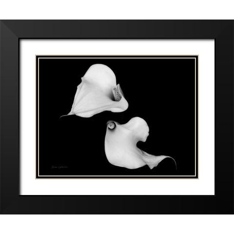 Elegant Calla IV Black Modern Wood Framed Art Print with Double Matting by Catterall, Elise