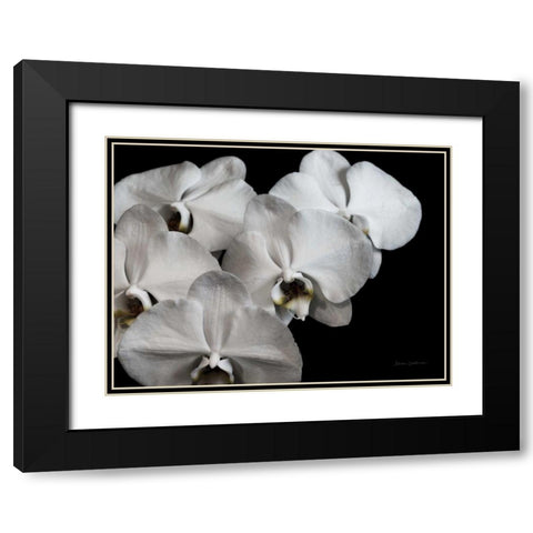 White Orchid II Black Modern Wood Framed Art Print with Double Matting by Catterall, Elise