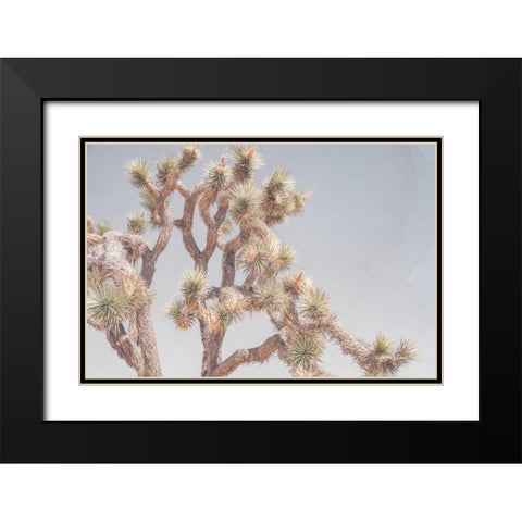 Desert Floral I Black Modern Wood Framed Art Print with Double Matting by Urquhart, Elizabeth