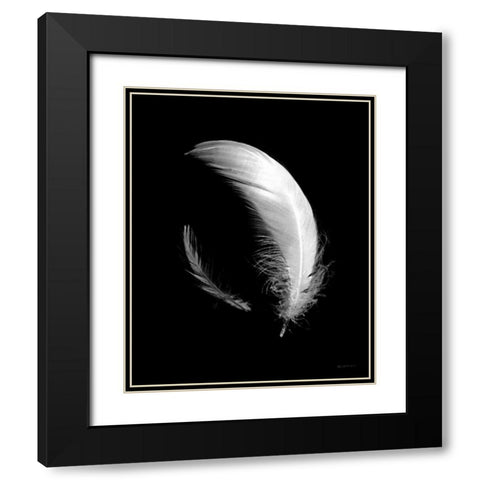 Dream Feathers Black Modern Wood Framed Art Print with Double Matting by Goldstein, Ed