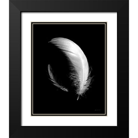 Dream Feathers Black Modern Wood Framed Art Print with Double Matting by Goldstein, Ed