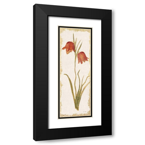Red Tulip Panel Light Black Modern Wood Framed Art Print with Double Matting by Blum, Cheri