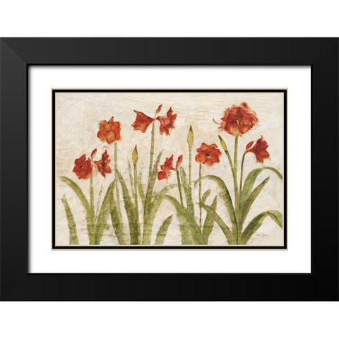 Row of Red Amaryllis Light Black Modern Wood Framed Art Print with Double Matting by Blum, Cheri