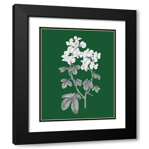 Green Botanical III Black Modern Wood Framed Art Print with Double Matting by Wild Apple Portfolio