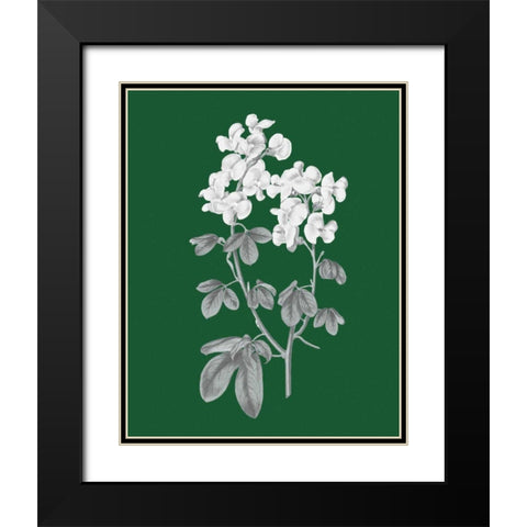 Green Botanical III Black Modern Wood Framed Art Print with Double Matting by Wild Apple Portfolio