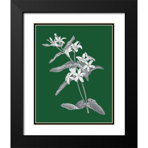 Green Botanical IV Black Modern Wood Framed Art Print with Double Matting by Wild Apple Portfolio