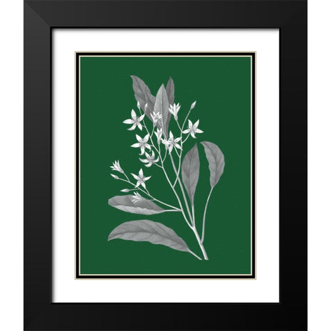 Green Botanical V Black Modern Wood Framed Art Print with Double Matting by Wild Apple Portfolio