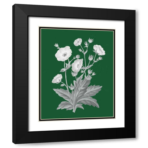 Green Botanical VI Black Modern Wood Framed Art Print with Double Matting by Wild Apple Portfolio