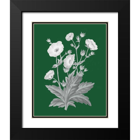 Green Botanical VI Black Modern Wood Framed Art Print with Double Matting by Wild Apple Portfolio