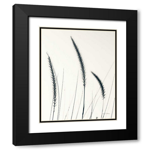 Field Grasses IV BW Crop Black Modern Wood Framed Art Print with Double Matting by Van Swearingen, Debra