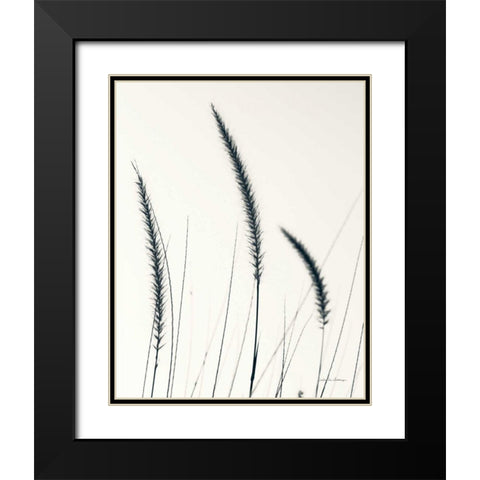 Field Grasses IV BW Crop Black Modern Wood Framed Art Print with Double Matting by Van Swearingen, Debra