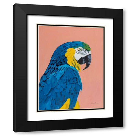 Blue and Gold Macaw Black Modern Wood Framed Art Print with Double Matting by Munger, Pamela