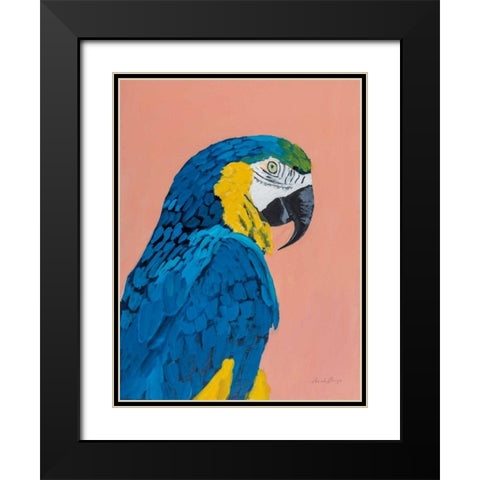 Blue and Gold Macaw Black Modern Wood Framed Art Print with Double Matting by Munger, Pamela