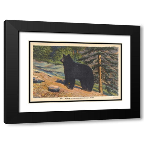 Black Bear I Crop Black Modern Wood Framed Art Print with Double Matting by Wild Apple Portfolio