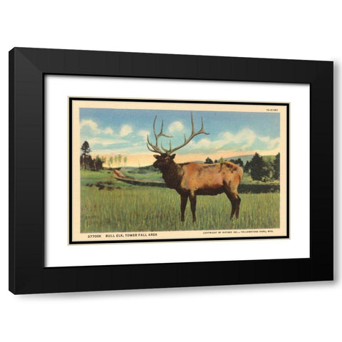 Elk I Crop Black Modern Wood Framed Art Print with Double Matting by Wild Apple Portfolio