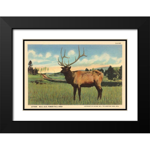 Elk I Crop Black Modern Wood Framed Art Print with Double Matting by Wild Apple Portfolio