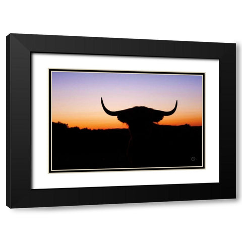 Bull Set Black Modern Wood Framed Art Print with Double Matting by Larson, Nathan