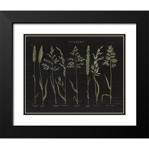 Herbal Botanical VII Black Wood Black Modern Wood Framed Art Print with Double Matting by Wild Apple Portfolio