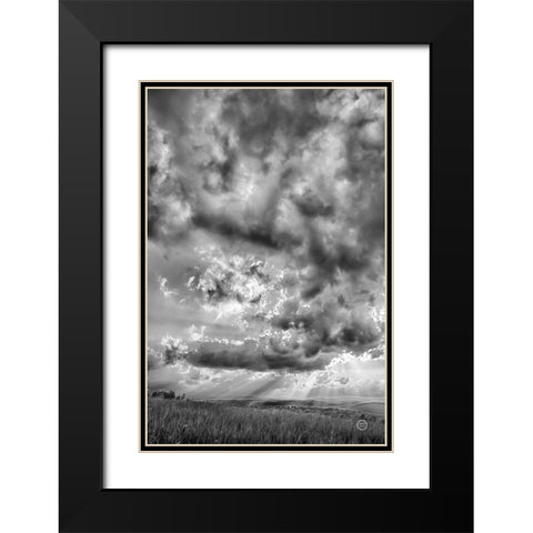 Rolling Pasture Rays Black Modern Wood Framed Art Print with Double Matting by Larson, Nathan