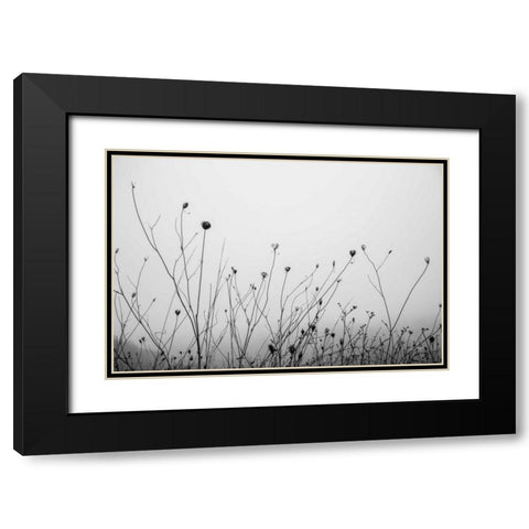 Autumn Grasses Black Modern Wood Framed Art Print with Double Matting by Aledanda