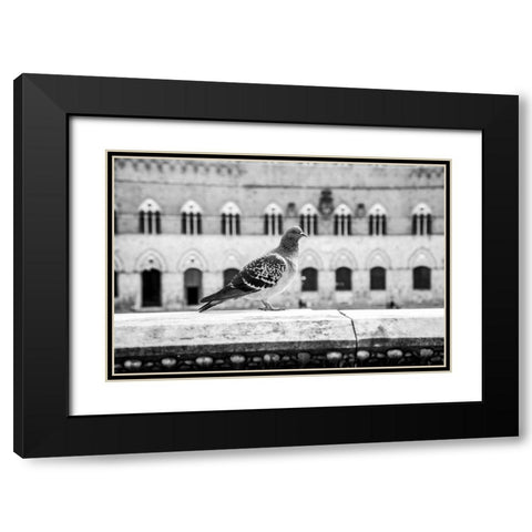 Il Piccione Black Modern Wood Framed Art Print with Double Matting by Aledanda