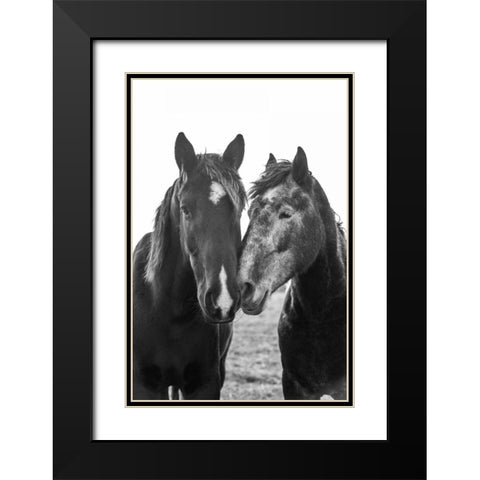 Good Friends Mane Black Modern Wood Framed Art Print with Double Matting by Aledanda