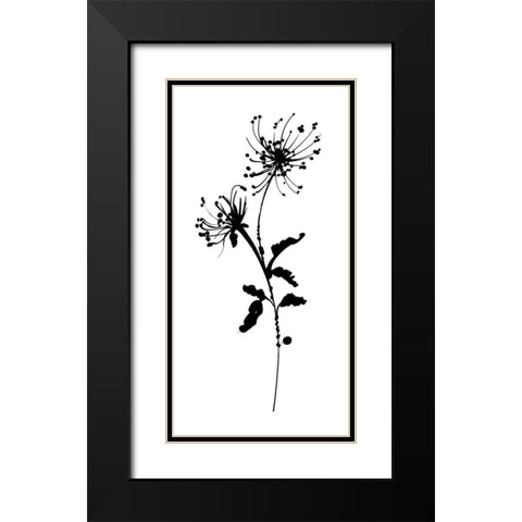 Silhouette Floral IV Black Modern Wood Framed Art Print with Double Matting by Wild Apple Portfolio