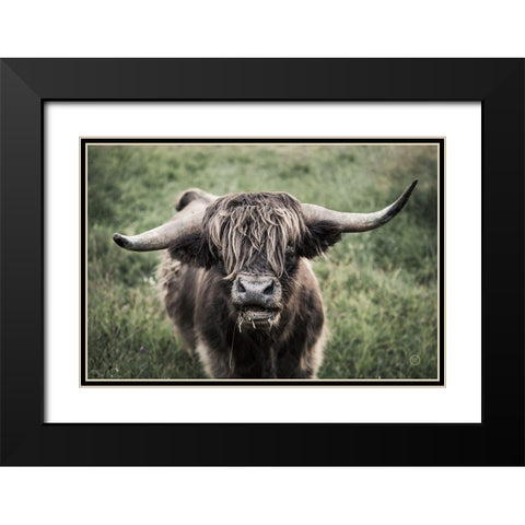 What Black Modern Wood Framed Art Print with Double Matting by Larson, Nathan