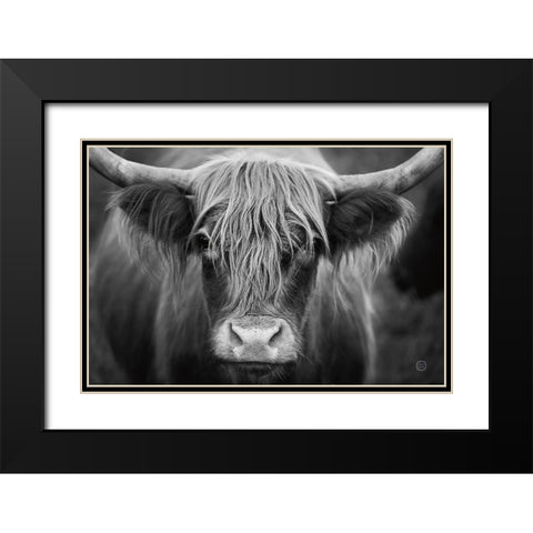 Cow Nose BW Black Modern Wood Framed Art Print with Double Matting by Larson, Nathan